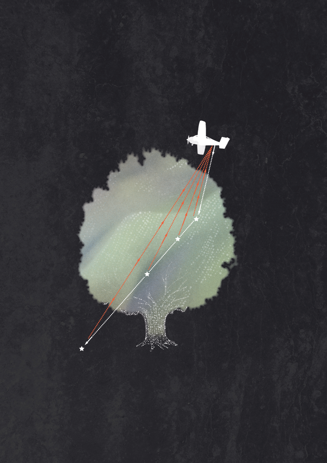 Aerial Lidar diagram: a plane scans a tree with pulses of light