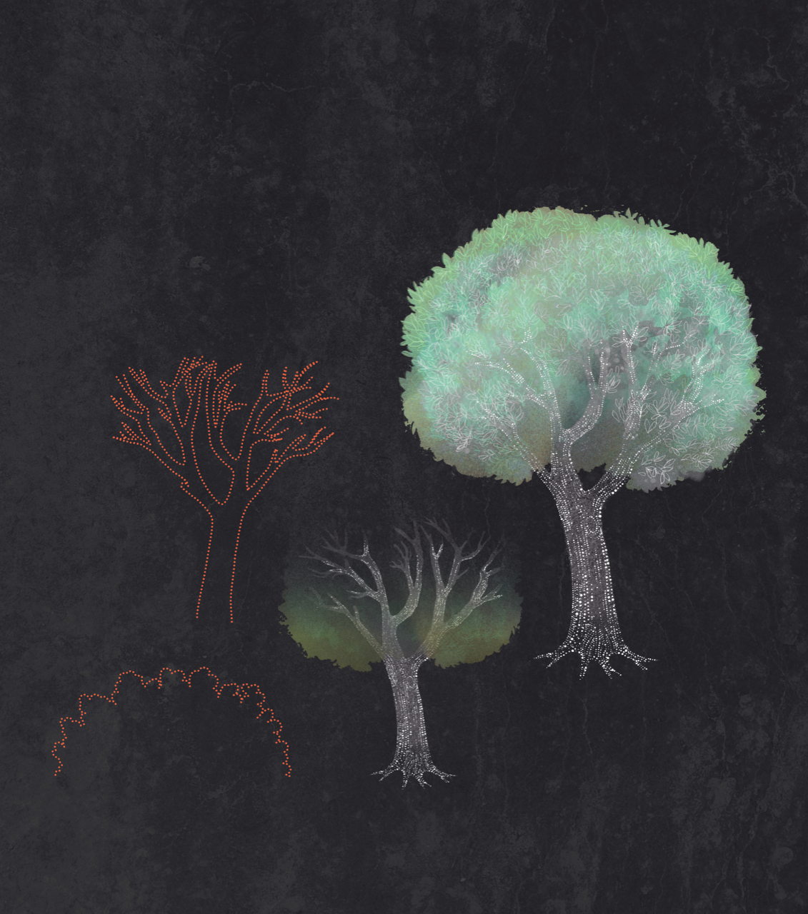 Four trees illustrating canopy, terrain and forest structure models